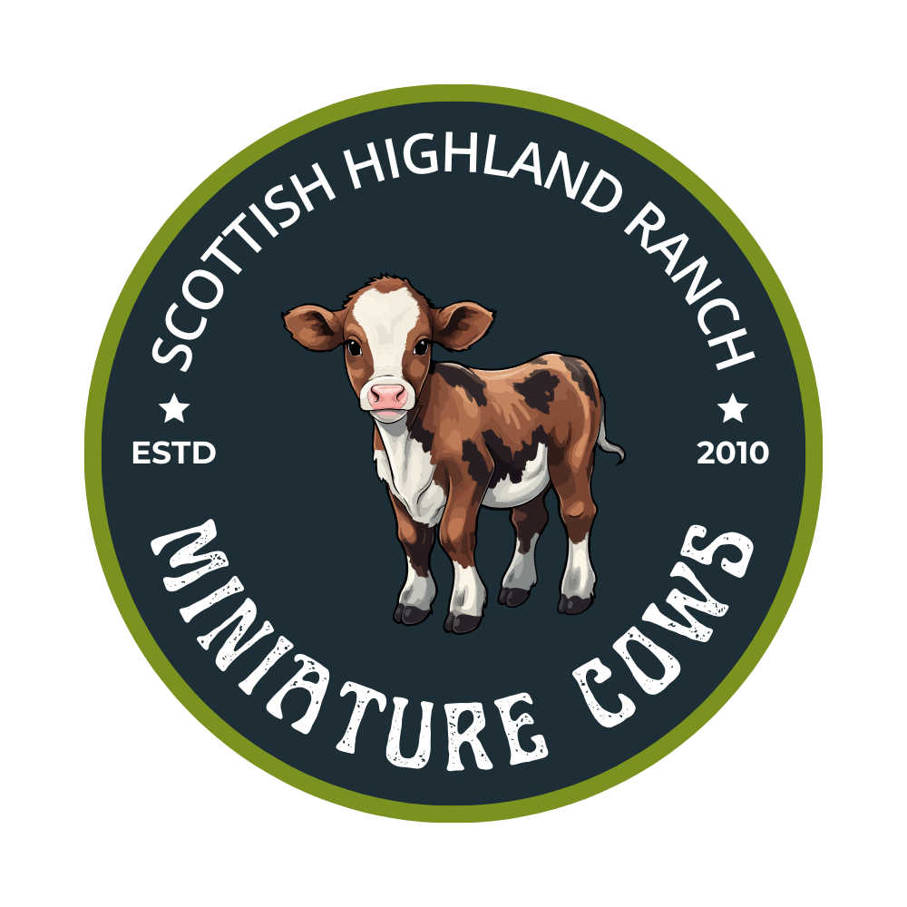 scottishhighlandranch.com